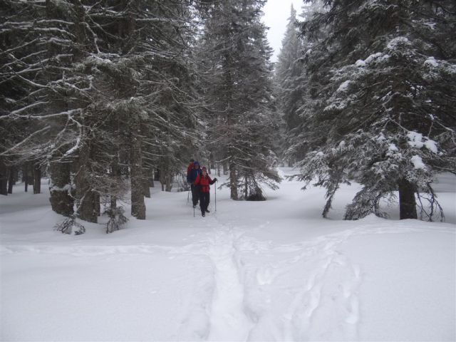 ROGLA - KLOPNI VRH, 2.3.2014 - foto