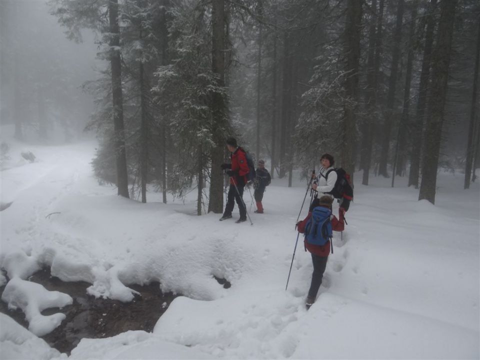 ROGLA - KLOPNI VRH, 2.3.2014 - foto povečava