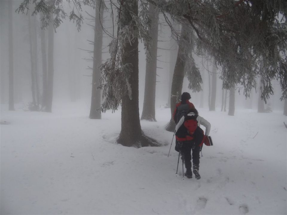 ROGLA - KLOPNI VRH, 2.3.2014 - foto povečava