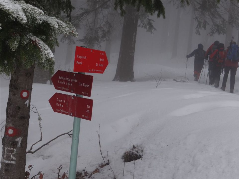 ROGLA - KLOPNI VRH, 2.3.2014 - foto povečava