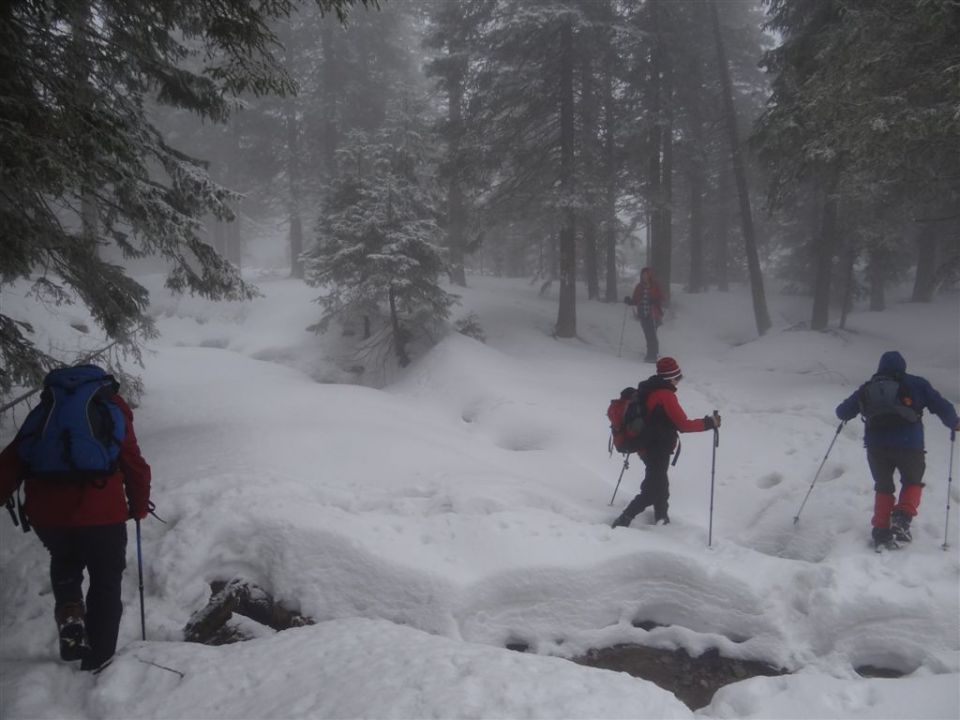 ROGLA - KLOPNI VRH, 2.3.2014 - foto povečava