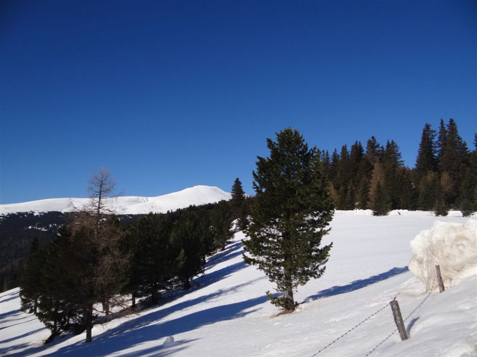 ZIRBITZKOGEL, 2396 m (A) - foto povečava