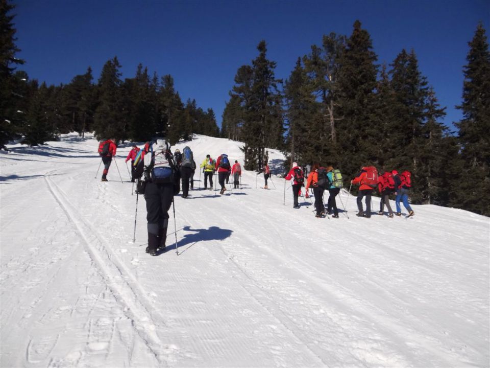 ZIRBITZKOGEL, 2396 m (A) - foto povečava