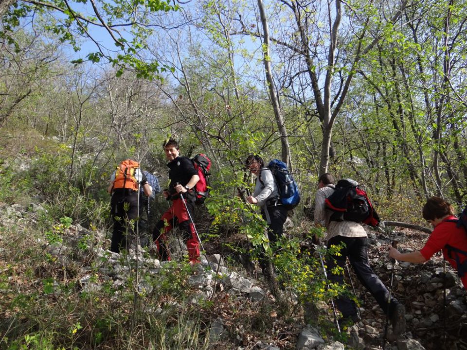 STANIČEV POHOD, 2014 - foto povečava