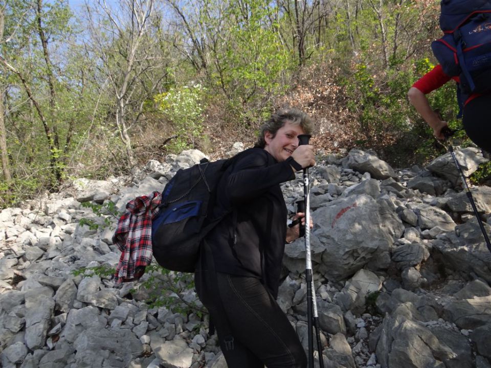 STANIČEV POHOD, 2014 - foto povečava