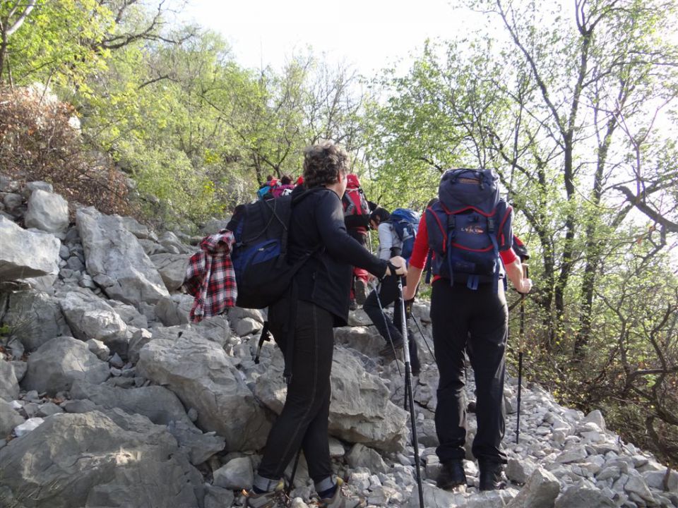 STANIČEV POHOD, 2014 - foto povečava