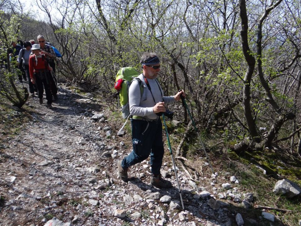 STANIČEV POHOD, 2014 - foto povečava