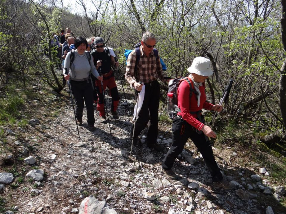 STANIČEV POHOD, 2014 - foto povečava