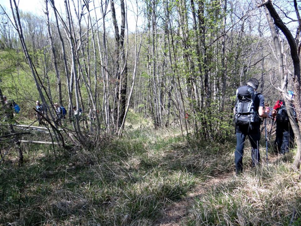 STANIČEV POHOD, 2014 - foto povečava