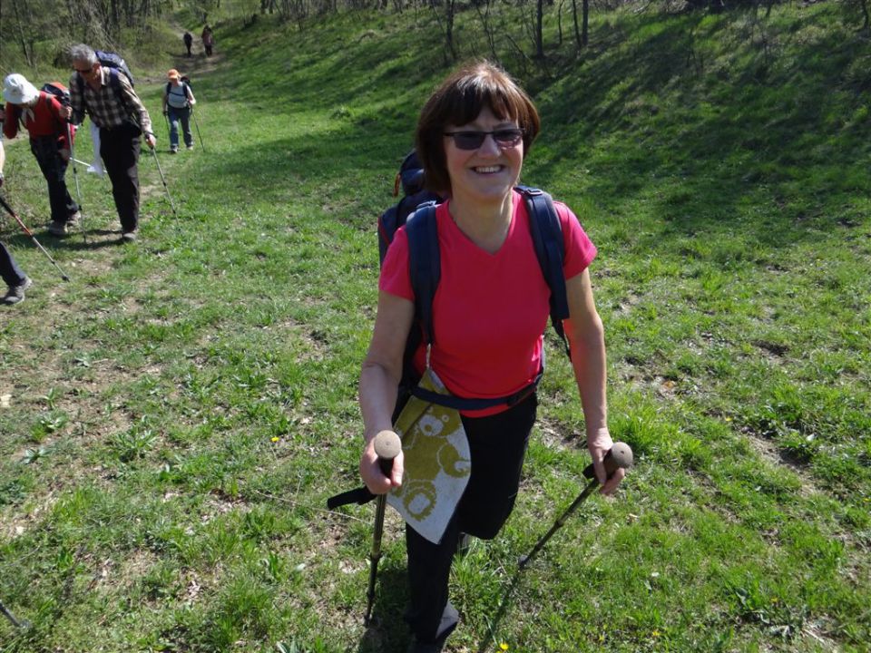 STANIČEV POHOD, 2014 - foto povečava