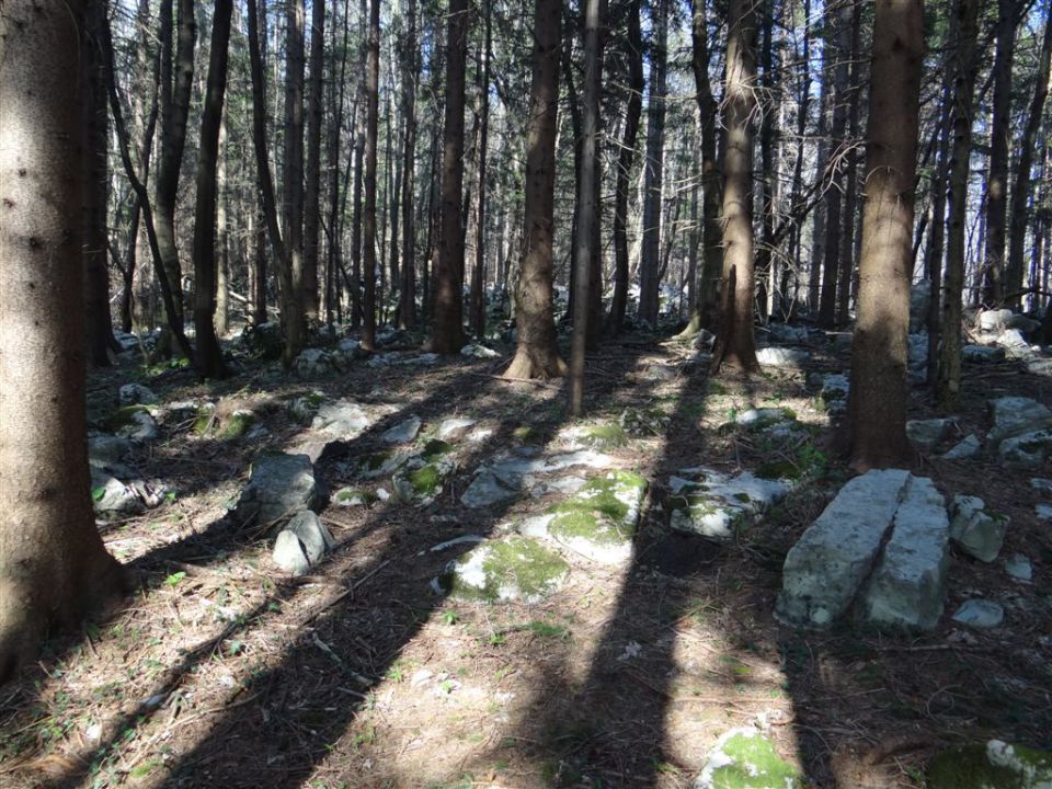 STANIČEV POHOD, 2014 - foto povečava