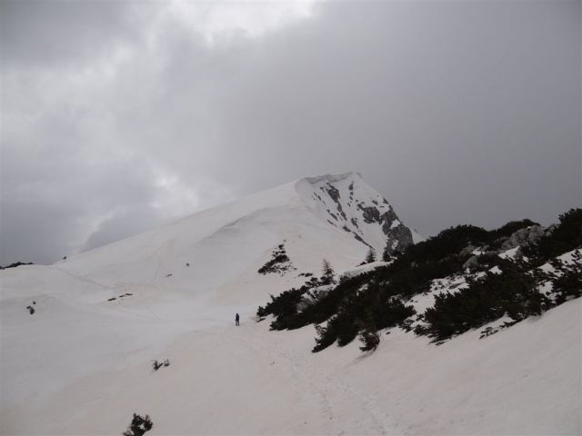 VELIKA RADUHA, 2062 m, 2014 - foto