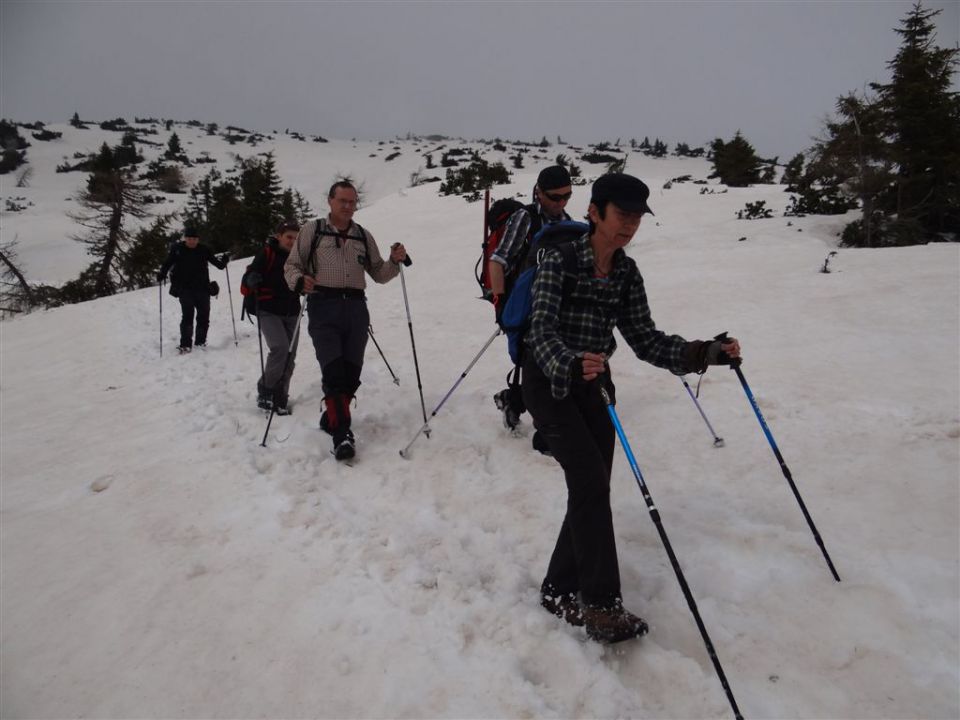 VELIKA RADUHA, 2062 m, 2014 - foto povečava