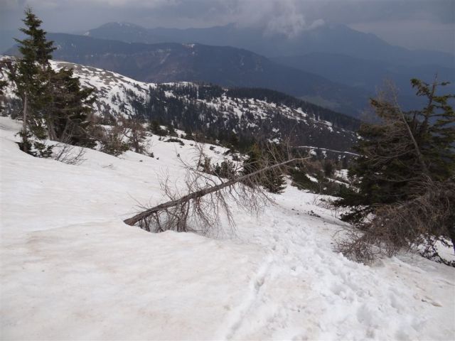 VELIKA RADUHA, 2062 m, 2014 - foto