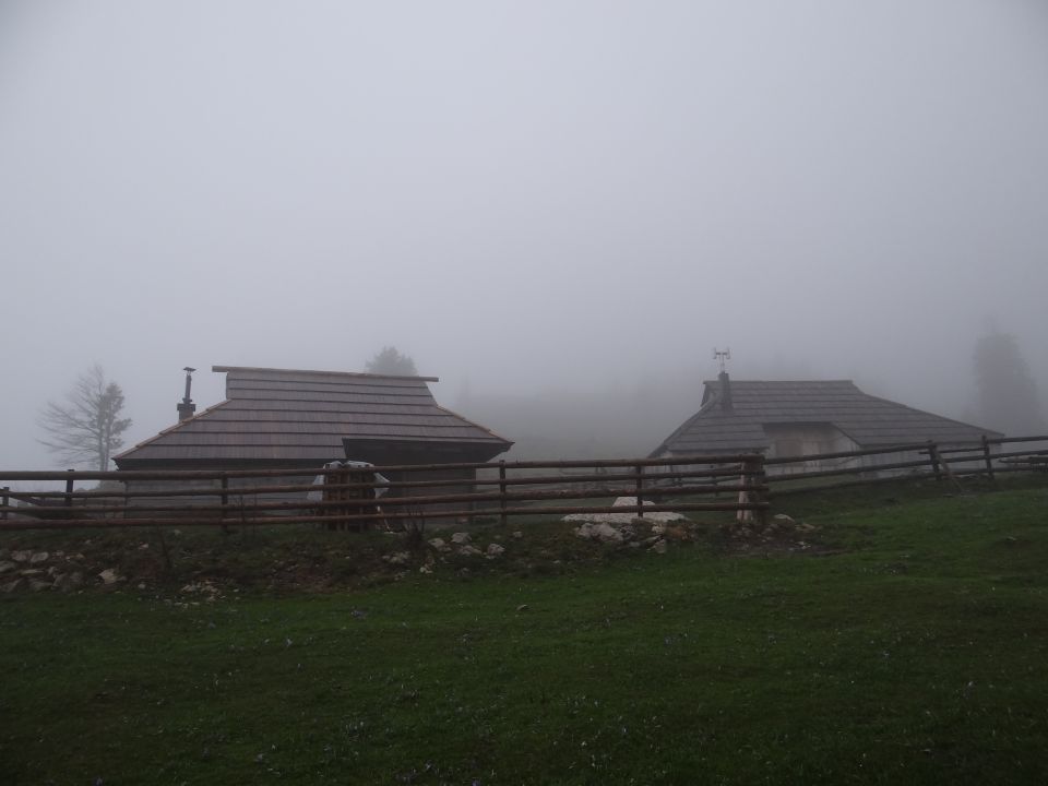 VELIKA PLANINA, 1666 m, 21.4.2014 - foto povečava