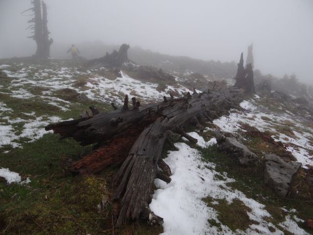 VELIKA PLANINA, 1666 m, 21.4.2014 - foto