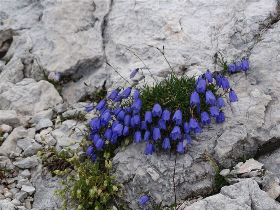 TRIGLAV (2864 m)_ 5.8.-7.8.2015 - foto povečava