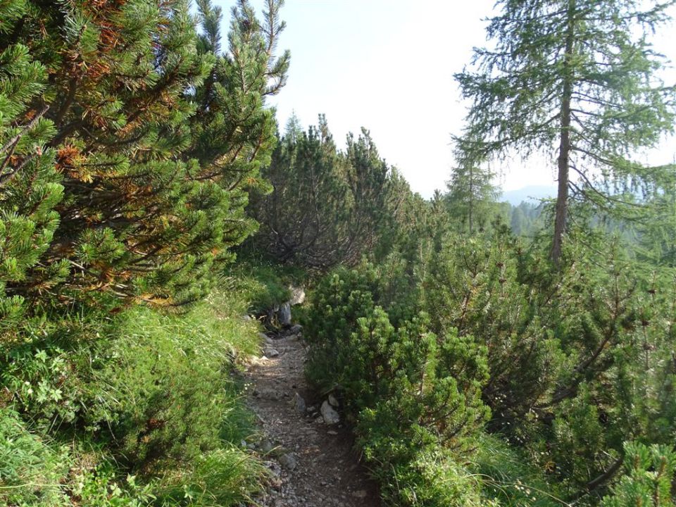 TRIGLAV (2864 m)_ 5.8.-7.8.2015 - foto povečava