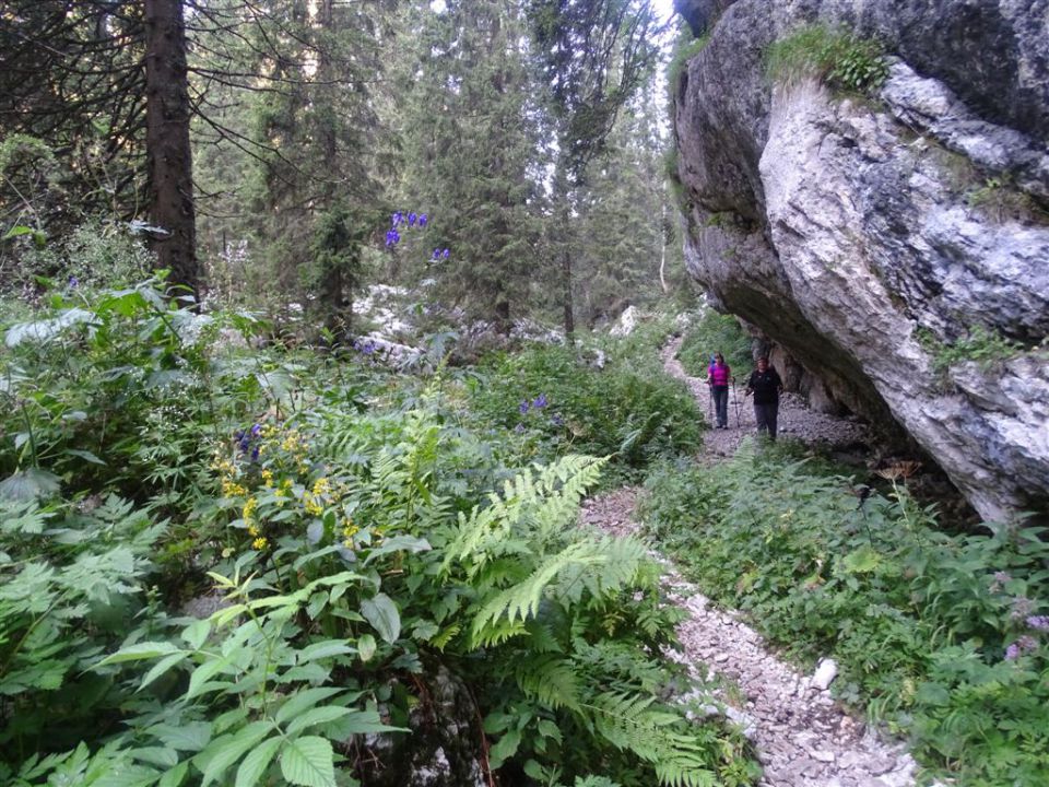 TRIGLAV (2864 m)_ 5.8.-7.8.2015 - foto povečava