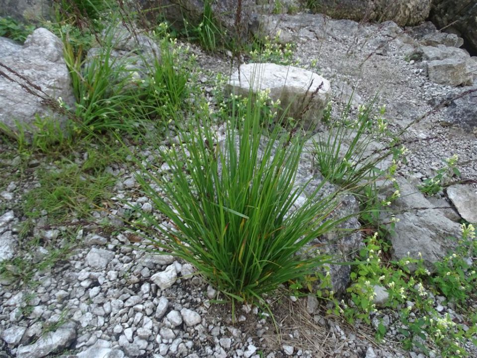 TRIGLAV (2864 m)_ 5.8.-7.8.2015 - foto povečava