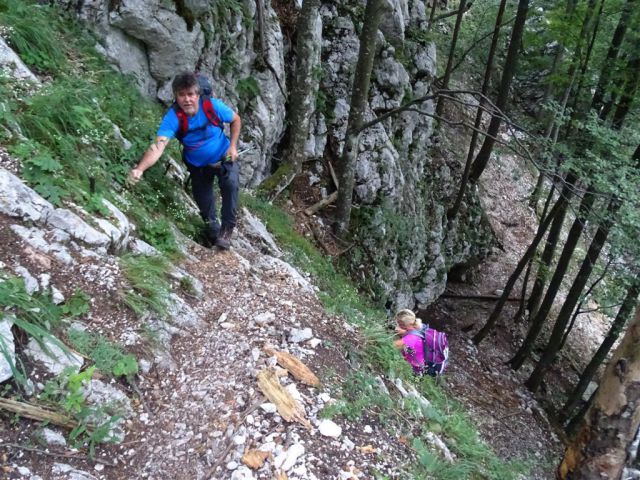 GRINTOVEC (2558 m), 15.8.2015 - foto