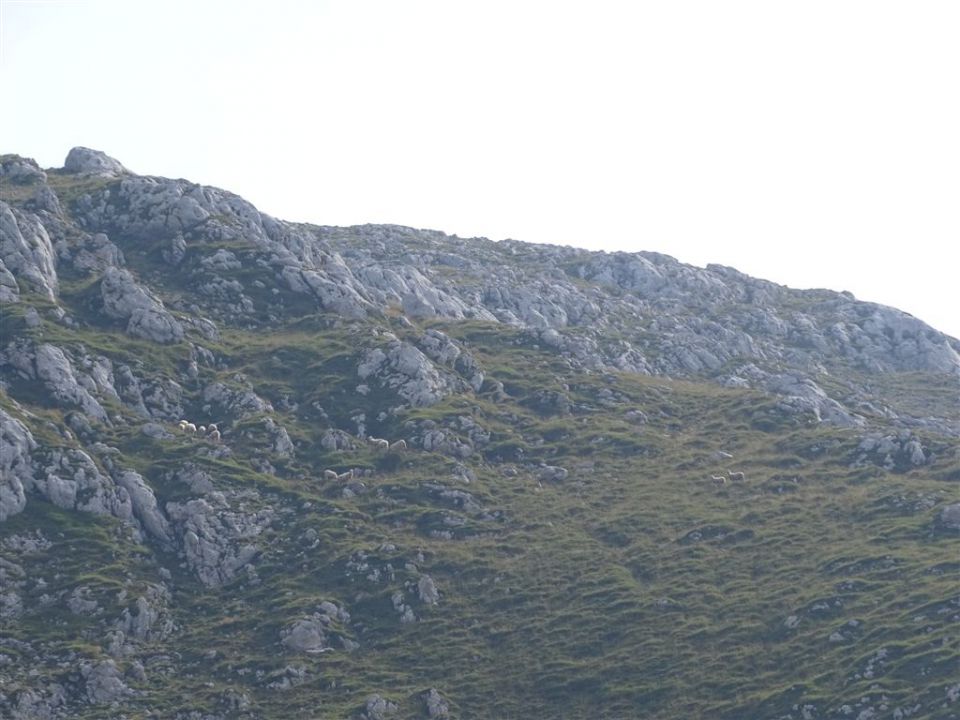 GRINTOVEC (2558 m), 15.8.2015 - foto povečava