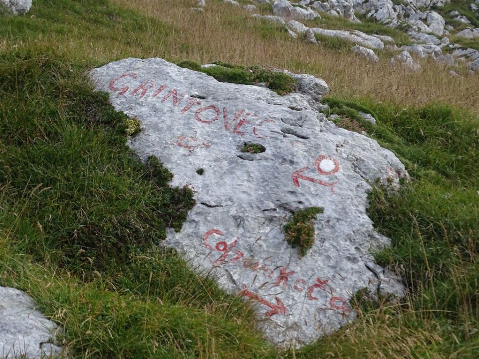 GRINTOVEC (2558 m), 15.8.2015 - foto povečava