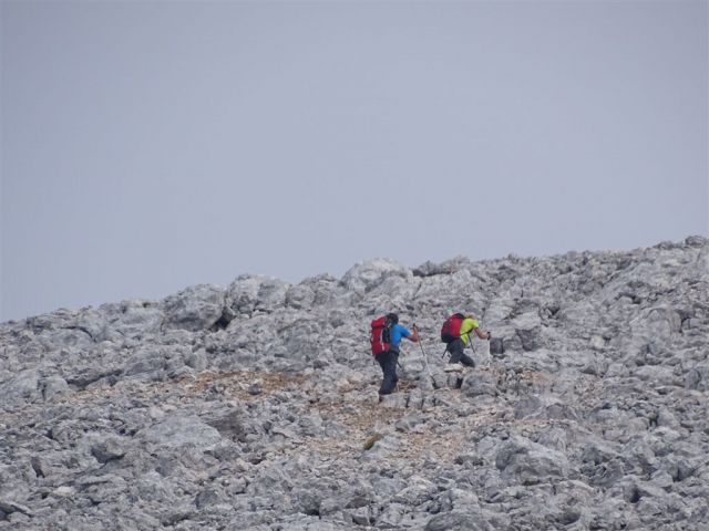 GRINTOVEC (2558 m), 15.8.2015 - foto