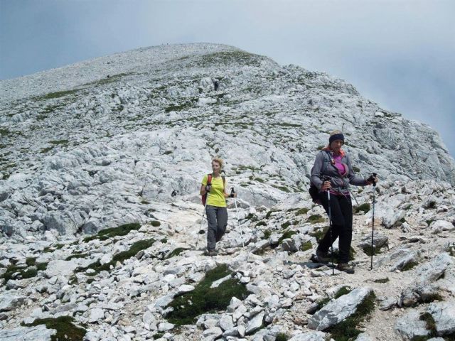 GRINTOVEC (2558 m), 15.8.2015 - foto