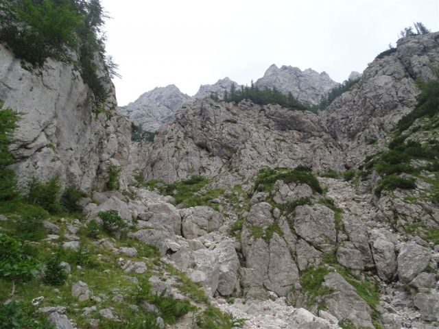 GRINTOVEC (2558 m), 15.8.2015 - foto