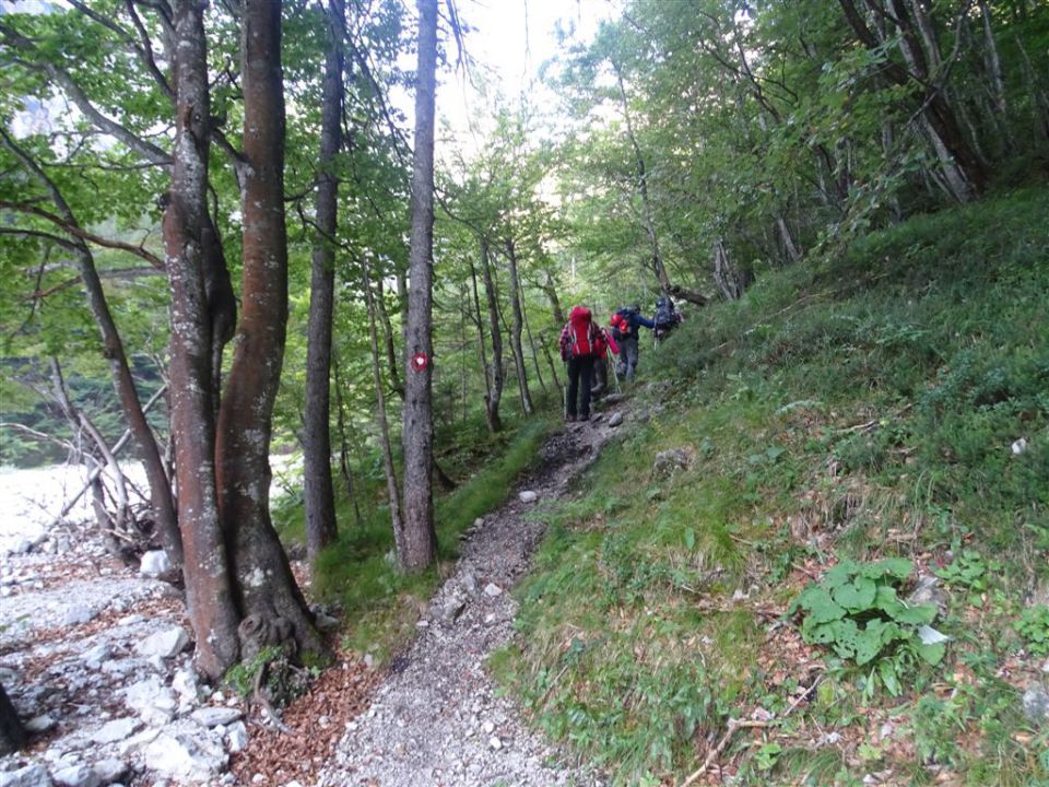 MRZLA GORA (2203 m), 23.8.2015 - foto povečava