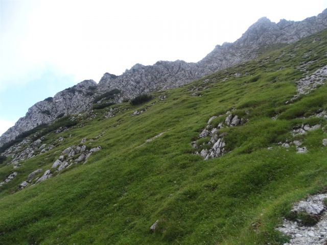 MRZLA GORA (2203 m), 23.8.2015 - foto