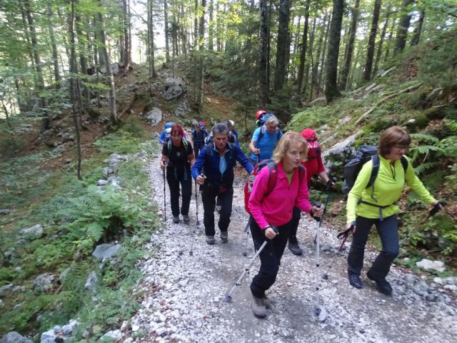 MIŠELJ VRH, (2350 m), 13.9.2015 - foto