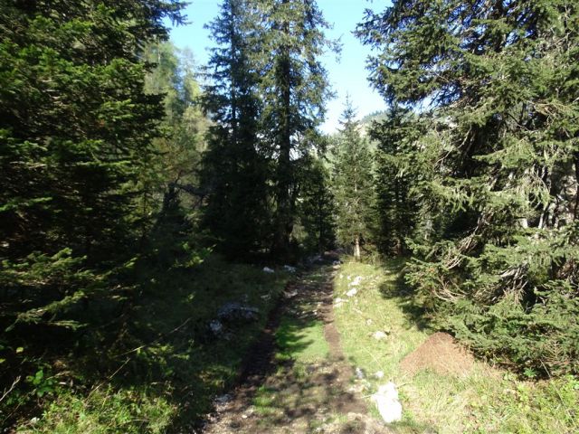 MIŠELJ VRH, (2350 m), 13.9.2015 - foto