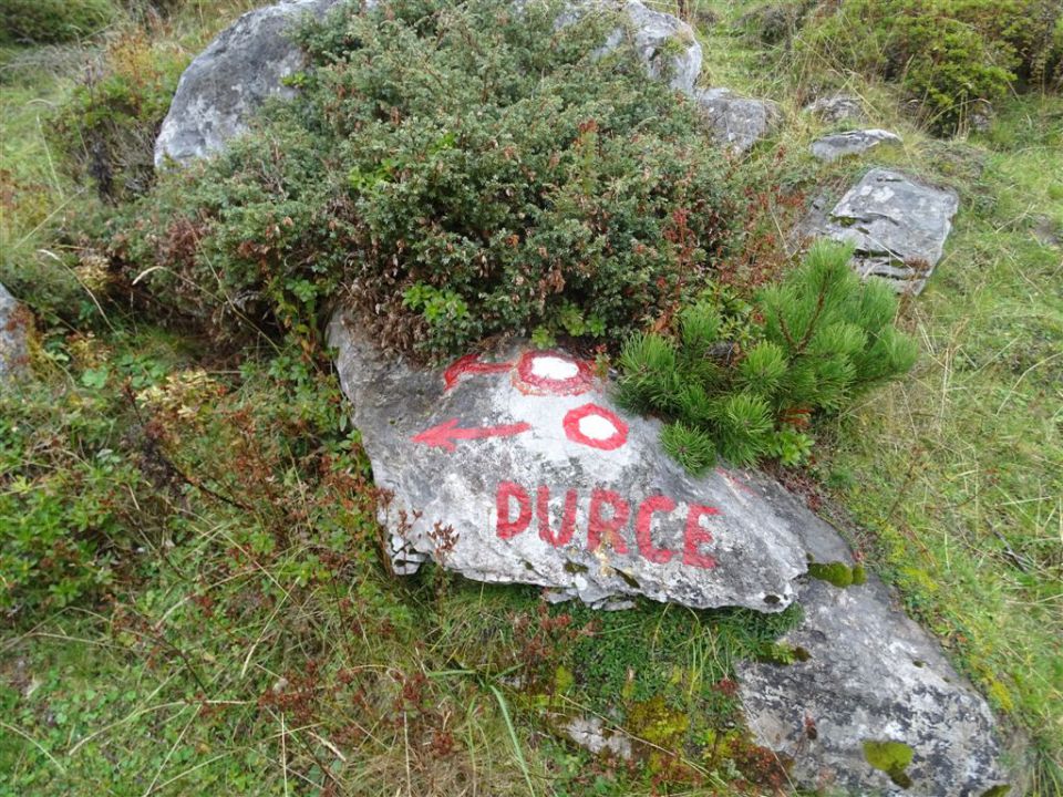 RADUHA in OLŠEVA,  4.10.2015 - foto povečava