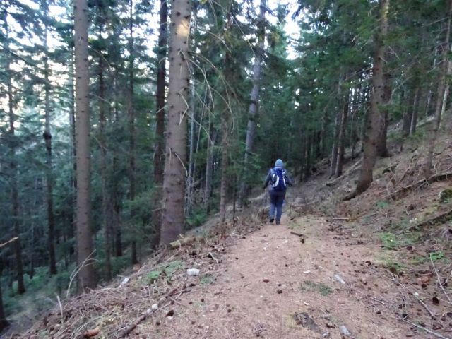 URŠLJA GORA. 1699 m, 27.12.2015 - foto