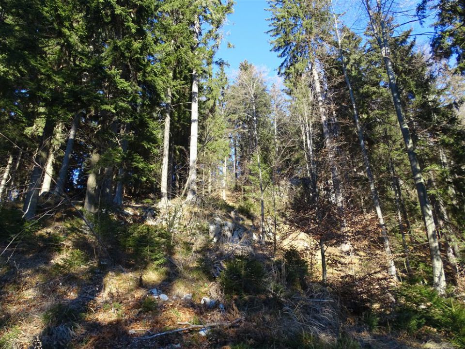 URŠLJA GORA. 1699 m, 27.12.2015 - foto povečava