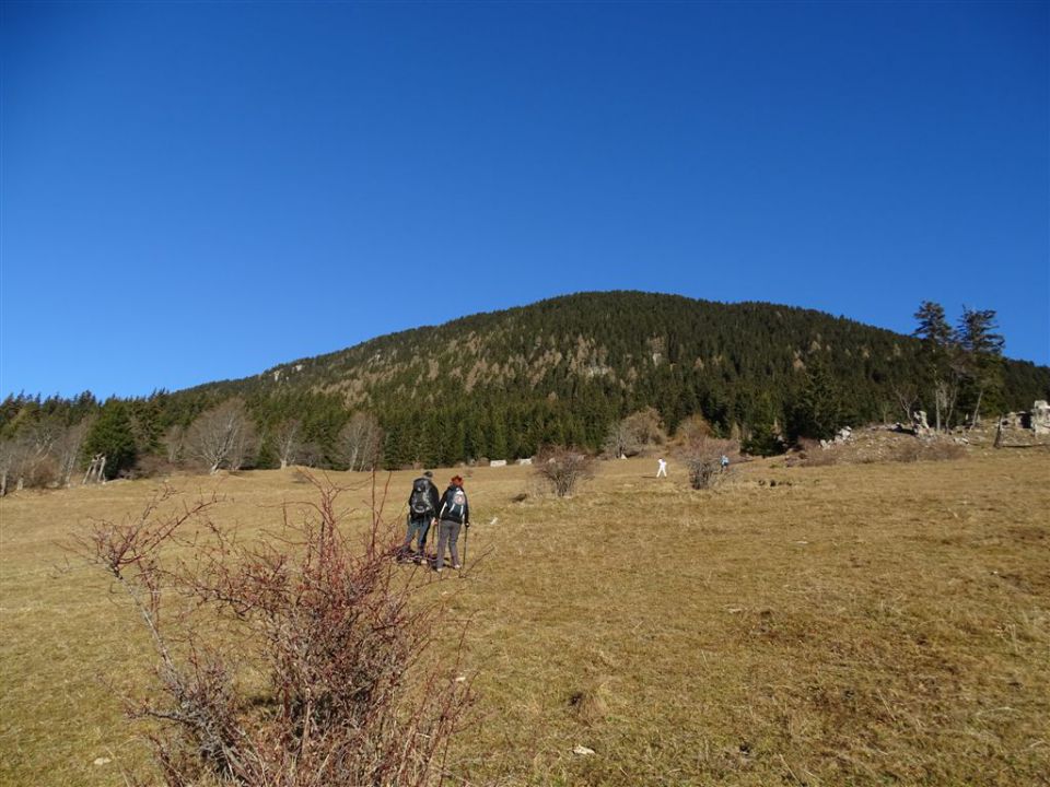 URŠLJA GORA. 1699 m, 27.12.2015 - foto povečava