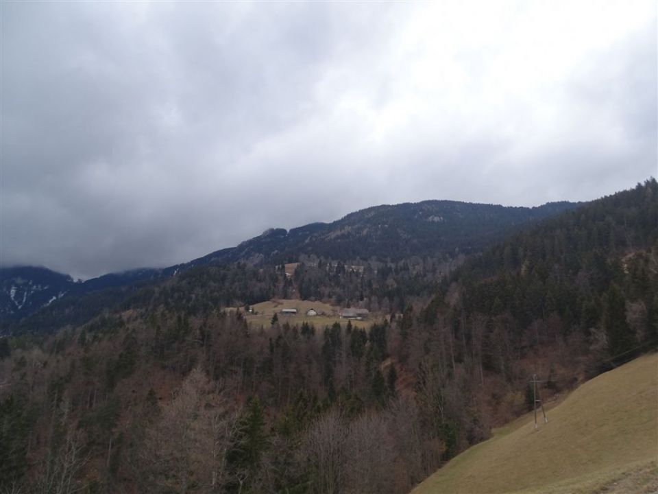 GOLTE (Stari stari vrh, 1569 m) - foto povečava