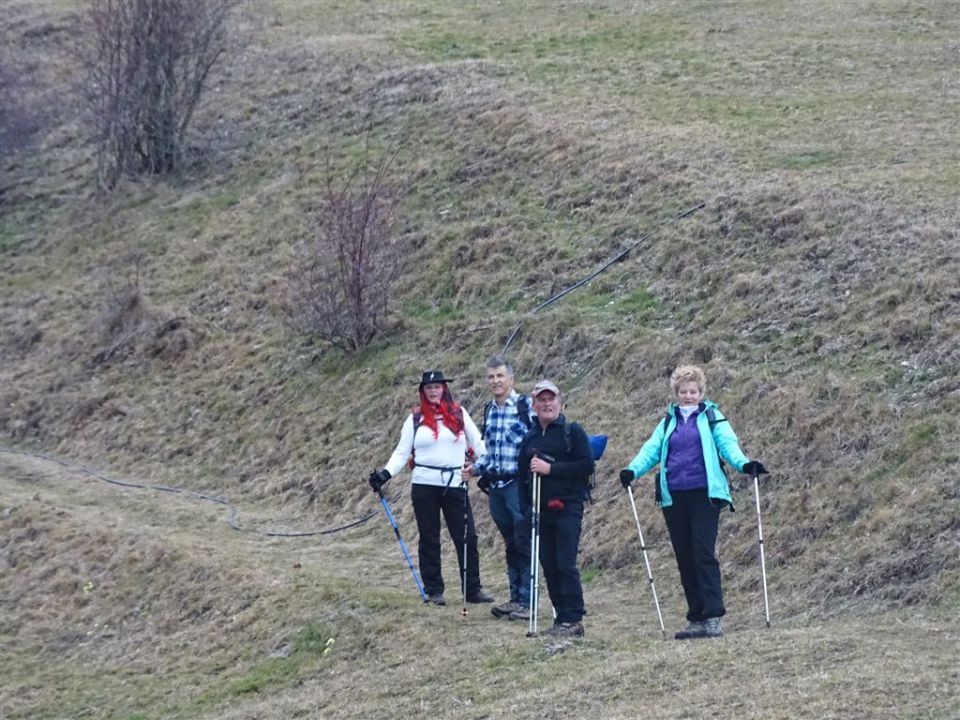 GOLTE (Stari stari vrh, 1569 m) - foto povečava