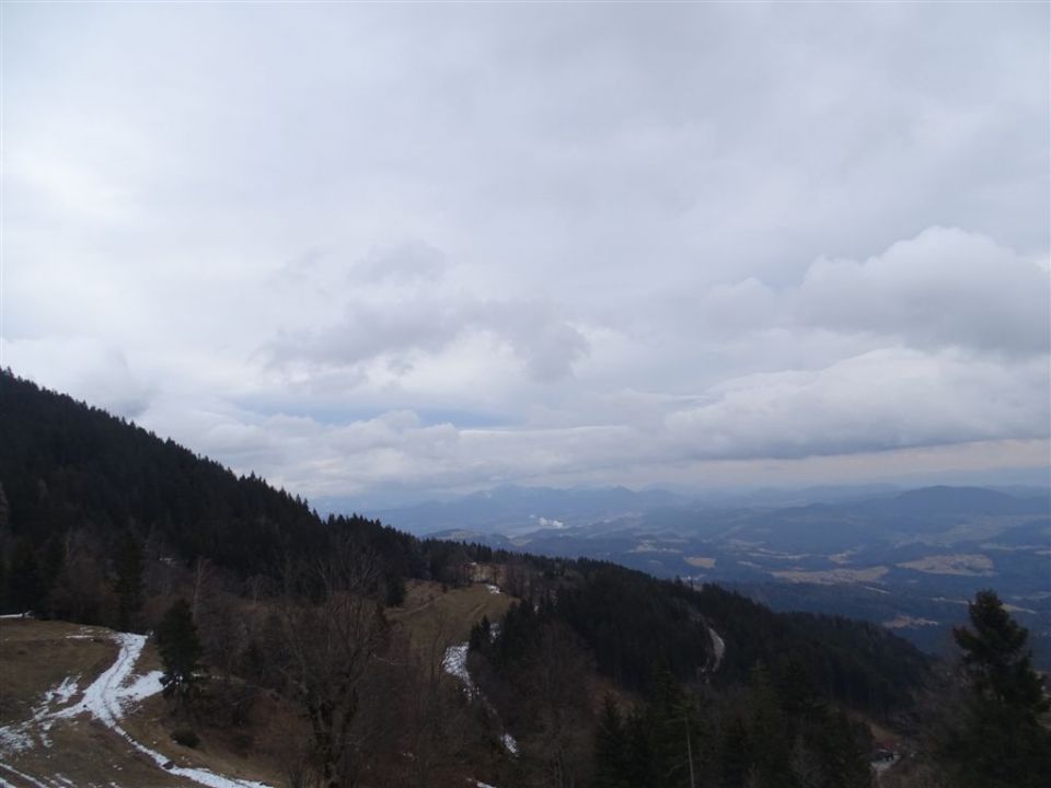 GOLTE (Stari stari vrh, 1569 m) - foto povečava