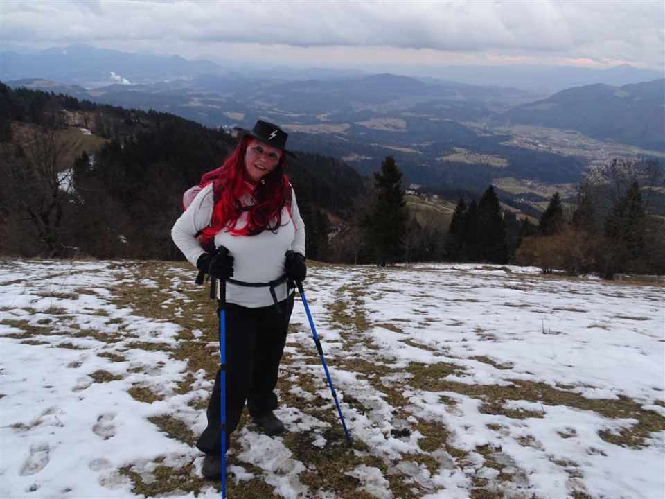 GOLTE (Stari stari vrh, 1569 m) - foto povečava