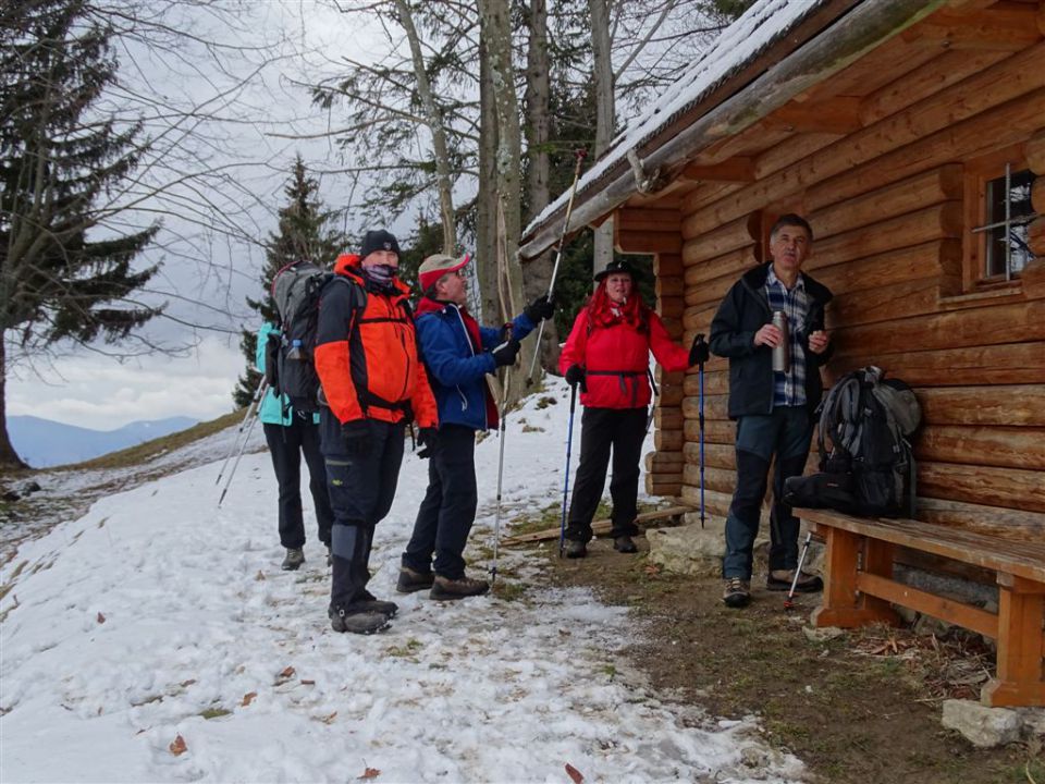 GOLTE (Stari stari vrh, 1569 m) - foto povečava