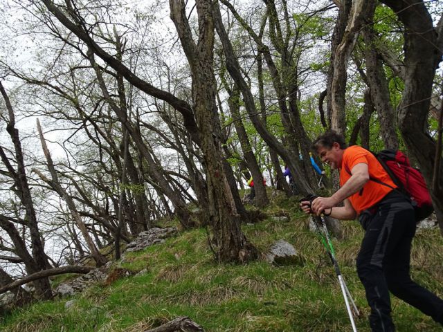 KRVAVICA (909 m) in ČEMŠENIŠKA PLANINA - foto