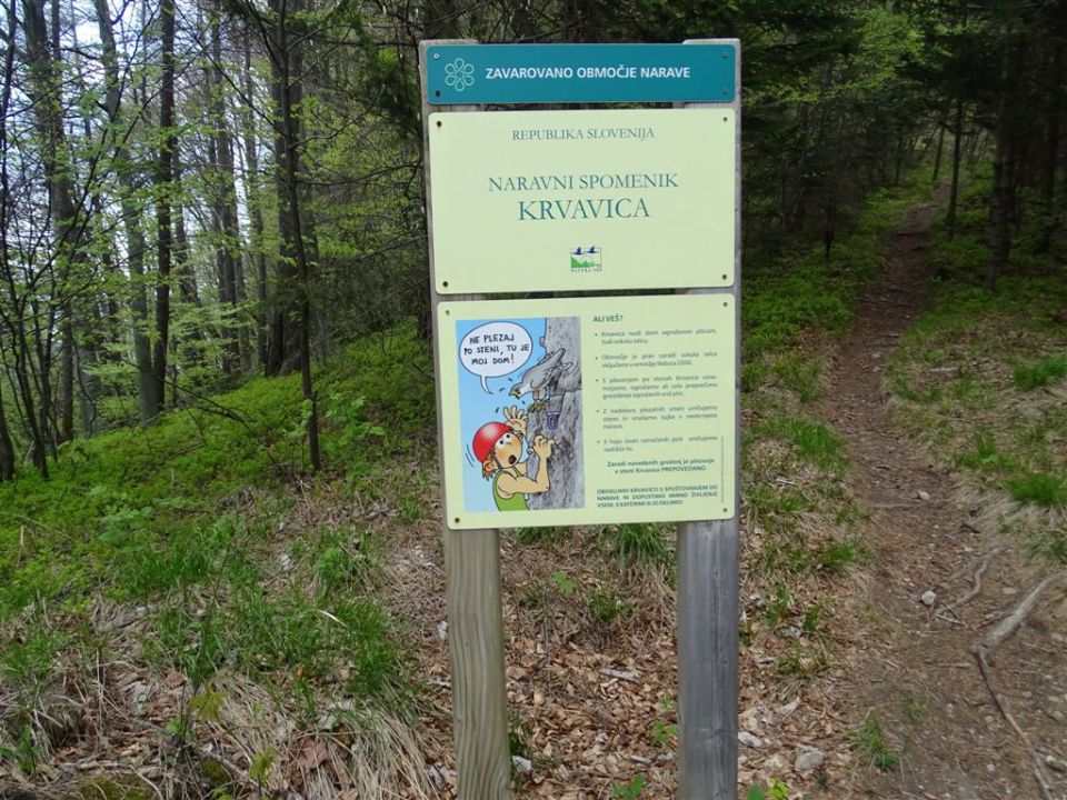 KRVAVICA (909 m) in ČEMŠENIŠKA PLANINA - foto povečava