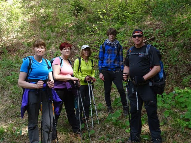 KRVAVICA (909 m) in ČEMŠENIŠKA PLANINA - foto