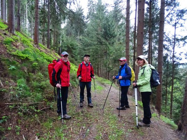 RIBNIŠKA KOČA in ČRNI VRH - foto