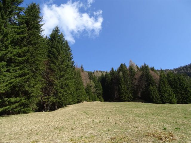 TRUPEJEVO POLDNE (1931 m) - foto