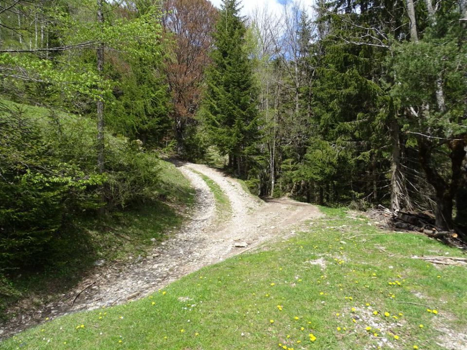 TRUPEJEVO POLDNE (1931 m) - foto povečava