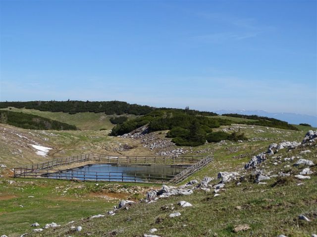 STRUŠKA (1944 m) in GOLICA (1835 m) - foto